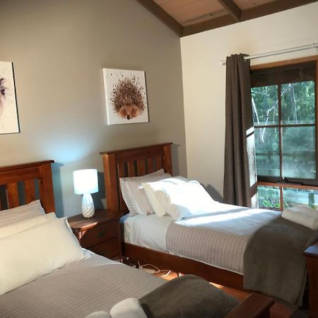 Day Dream Cottage Halls Gap Εξωτερικό φωτογραφία
